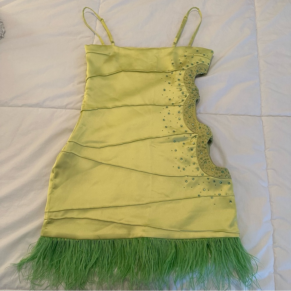Danielle Guizio green feather dress